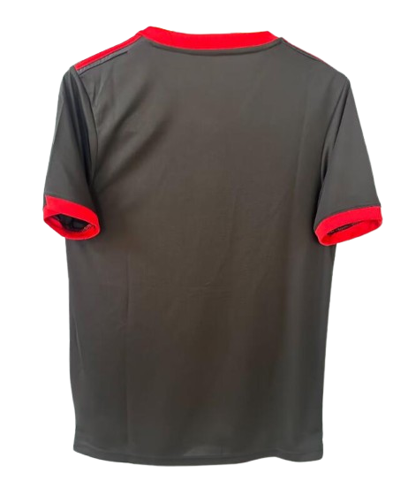 CAMISETA | Japón 2024 Edición Especial