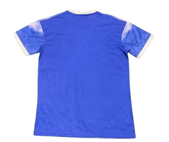 CAMISETA | Japón 23/24 Edición Especial