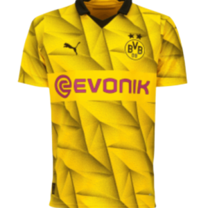 CAMISETA | Borussia Dortmund 23/24 1ªEquipación Edición Champions League