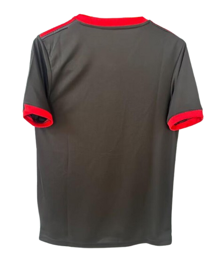 CAMISETA | Japón 2024 Edición Especial