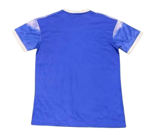 CAMISETA | Japón 23/24 Edición Especial